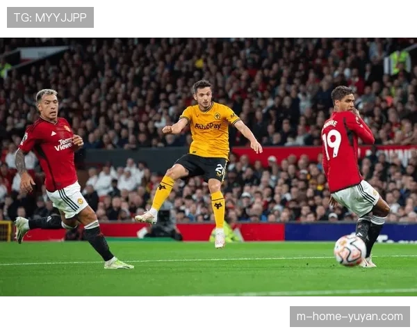 曼联本赛季多次遭遇不利判罚 布伦特福德狼队战均存争议