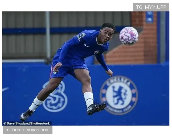 切尔西麦昆技术特点分析 灵活性比赛嗅觉获主帅肯定